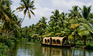 Visit Kerala Year to be unveiled in April this year