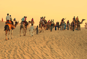 Camel Safari in Rajasthan21