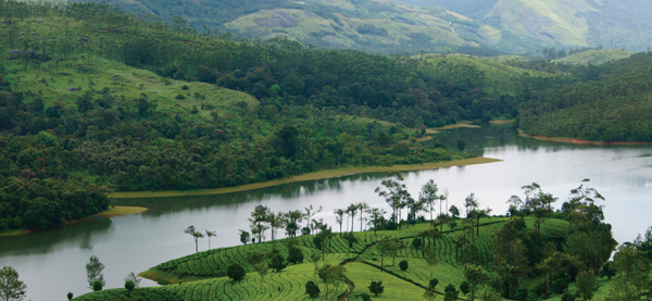 Kerala: No Nipah fallout, focus on domestic, says Director Tourism