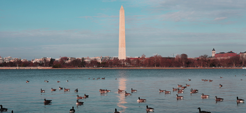 Destination DC holds global marketplace to drive inbound; India and China big growth markets